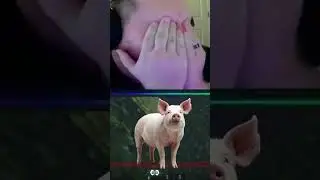 Нет ничего лучше, чем провести позитивный день в компании друзей!!!