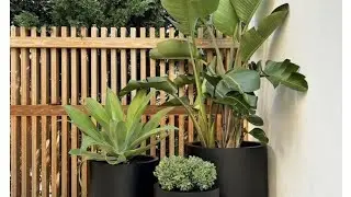 indoor plants decoration ideas|hanging plants ideas