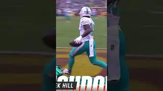 Dolphins Roller Coaster Celebration