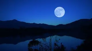 Crickets & Frogs by the Moonlit Lake | Night Ambient Sounds for Deep Sleep & Relaxation