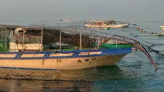 明石の浮き流し式 海苔養殖 (あまり知られていない海上作業) 海苔養殖終了まで後3日 Part 79 (2025年04月27日5:51 - 7:22)