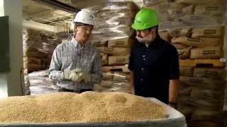 Wheat | ADM Milling | Spokane, WA | Washington Grown