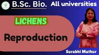 Lichens। Reproduction in Lichens(Asexual and Sexual reproduction)। B.Sc.bio.। by Surabhi ma'am 