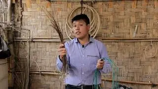La cester&iacute;a
