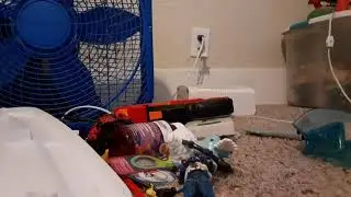 A quick toy review