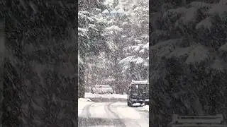 live snowfall Kalam valley swat .22 January 2026 #sultaneroom #love #travel #reels #nature #travel