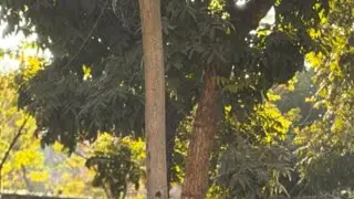 মঙ্গলবারের রাতে লাইফে চলে আসলাম