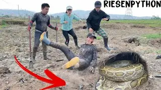 2 Brave Girls Catch 1000 Giant Snakes