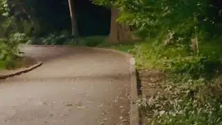 NYC Skunk in Fort Tryon - rare morph!