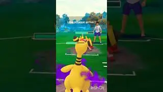 #ultraleague #pokemon #pokemongo #mgmt #pvppokemon #pvp #pvppokemongo #pokemongopvp #shinypokemon