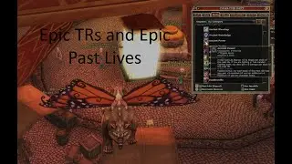 DDO Epic True Reincarnation: How Does It Work? December 2025
