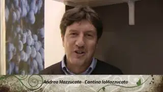 Il Merlot Breganze DOC di IoMazzucato (Andrea Mazzucato, Vinitaly 2017)