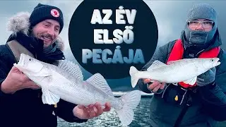 A TORKOS SÜLLŐ ÉS A VASFOGÚ CSUKA MESÉJE - ÉVNYITÓ PECA A BALATONON