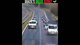 Brazil's Green Secret 🌱|  #Fact2Book#shorts