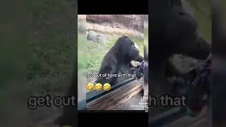 Open the bag,This bitch hahahaha