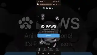 HOW TO CHECK ✅ UR ALLOCATION FROM PAWS 🐾 AIRDROP.