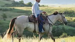 SOLD!! JT Sakem Wrangler- 2018 Gelding. Lot #4,  July 30th, 2022, at South Dakota's ELITE.