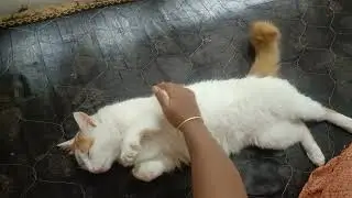 आईजवळ मस्का मारतोय का तर बाबा खाली घेऊन जात नाही म्हणून आजारी असून!
