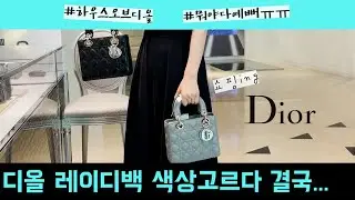 디올 레이디백 스몰 (블랙, 스톤그레이, 라떼, 파드) 인기 색상 중 어떻게 하나만 고르죠? 같이 쇼핑해요 vlog [새댁림]