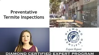 Эксперты с сертификатом Diamond: профилактические проверки на наличие термитов