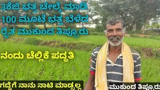 ಖರ್ಚಿಲ್ಲದೆ 3ಕೆಜಿ ಭತ್ತವನ್ನು ಚೆಲ್ಲಿ ನೂರುಮೂಟೆ ಭತ್ತ ಬೆಳೆದ ರೈತ ಮುಕುಂದ#ಕೃಷಿ#paddycrop#ಚಲ್ಲಿಕೆಪದ್ಧತಿ
