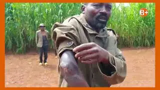 NYAMASHEKE: HAKOMEJE GUFUNGWA UMUNTU WESE WABWIYE ITANGAZAMAKURU KO IBIRYO BAGENEWE BYAHAWE ABIFITE🤔