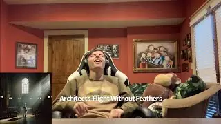 Architects-Flight Without Feathers-First Time Reaction(Does it Slap?)