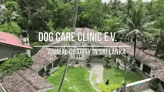 The Dog Care Clinic &ndash; A Lifeline for Sri Lanka&rsquo;s Street Dogs