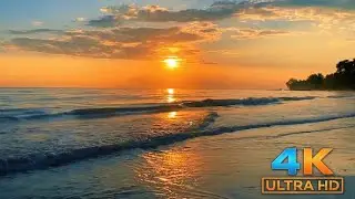 Peaceful Ocean Sounds 4K | Sleep, Meditation & Deep Relaxation ASMR Vol 99