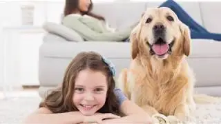Residential Quarterly Pest Control Program | Gunter Pest & Lawn | Kansas City, MO