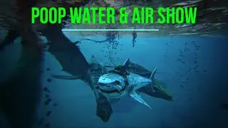 Poop Water & Air Show Ark