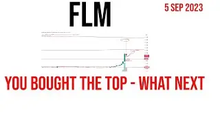 Flamingo | flm coin price prediction & Analysis , News Update - 5 September 2023