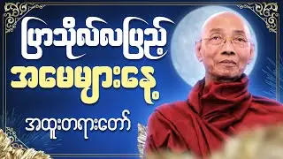 🙏ညစဥ်ဖွင့်၍ တရားမှတ်ရင်း အိပ်စက်အနားယူပါ 🙏  #ပါချုပ်ဆရာတော်ကြီး #တရားတော် #ညတရား 🌼