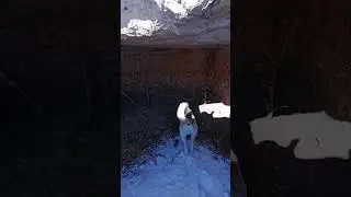 Camping with My Dogs in Deep Snow | Off-Grid Winter Survival (Nature ASMR)