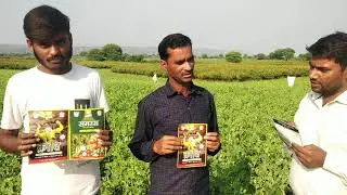 मल्टीप्लेक्स क्रांति + समरस