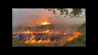 Forest Fire Occurrence Prediction Using Machine Learning