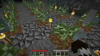 Minecraft Special Ep: Salgurdar's World Part 1