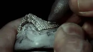 The 