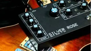 Devi Ever Silver Rose