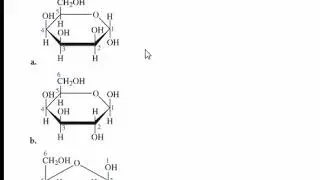 CHM 129 128 Identification of Alpha and Beta Anomers