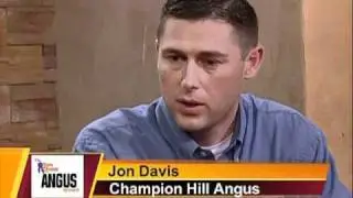 Sure Champ Angus Hour Conclusion
