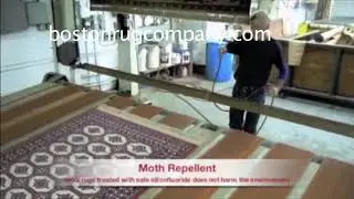 Moth Treatment