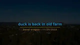 Duck the Drone - Duck is back in Old Farm - Bend Oregon - 11/25/2023