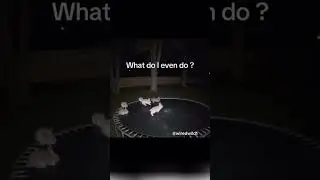 bunnies jumping on a trampoline #animals #memes #fyp