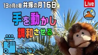 【8・手】調和させるために自分の手でやる✨共振の月16日✨KIN47✨青い銀河の手🌈✨🌏
