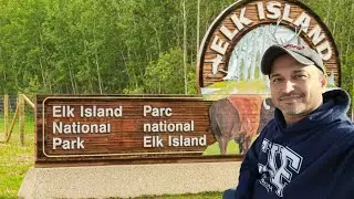 Elk Island National Park Edmonton 🇨🇦 