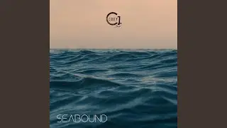 Lost at Sea