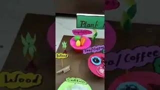 3d model of plant products #schoolproject