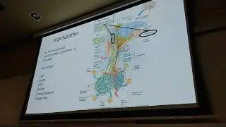 Fisiología 2 