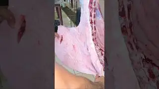 Big size Camel fat cutting video #yummy #camel #fat #food #shorts #shortsfeed #viralvideo